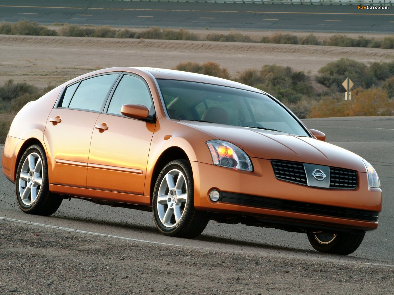 Nissan Maxima (A35) 2004–06 photos (1280 x 960)