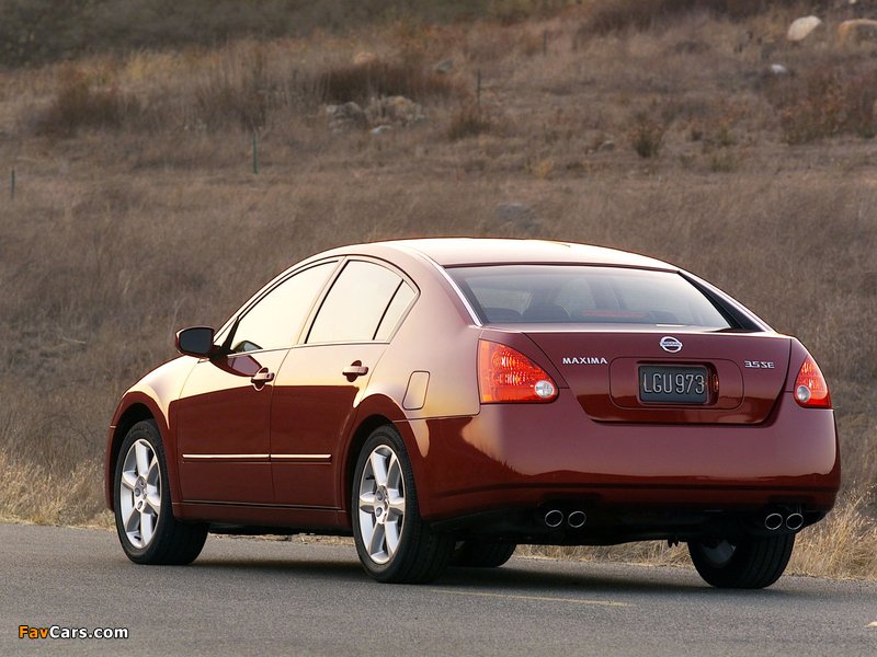 Nissan Maxima (A35) 2004–06 pictures (800 x 600)