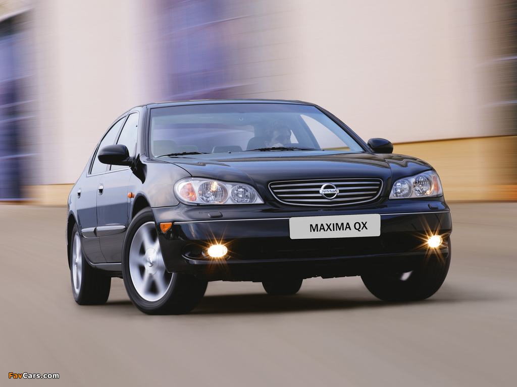 Nissan Maxima QX (A33) 2004–06 wallpapers (1024 x 768)