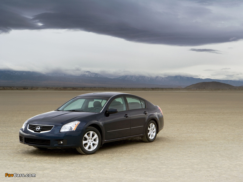 Nissan Maxima (A35) 2006–08 wallpapers (800 x 600)