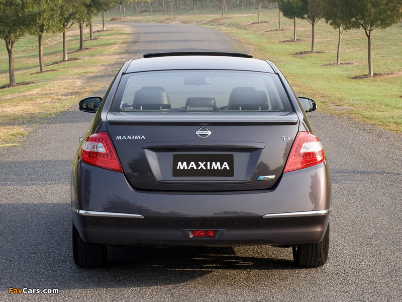 Nissan Maxima 2009 photos (800 x 600)