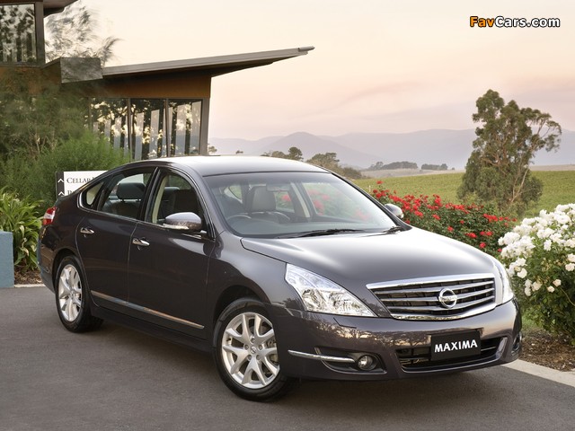 Nissan Maxima 2009 pictures (640 x 480)