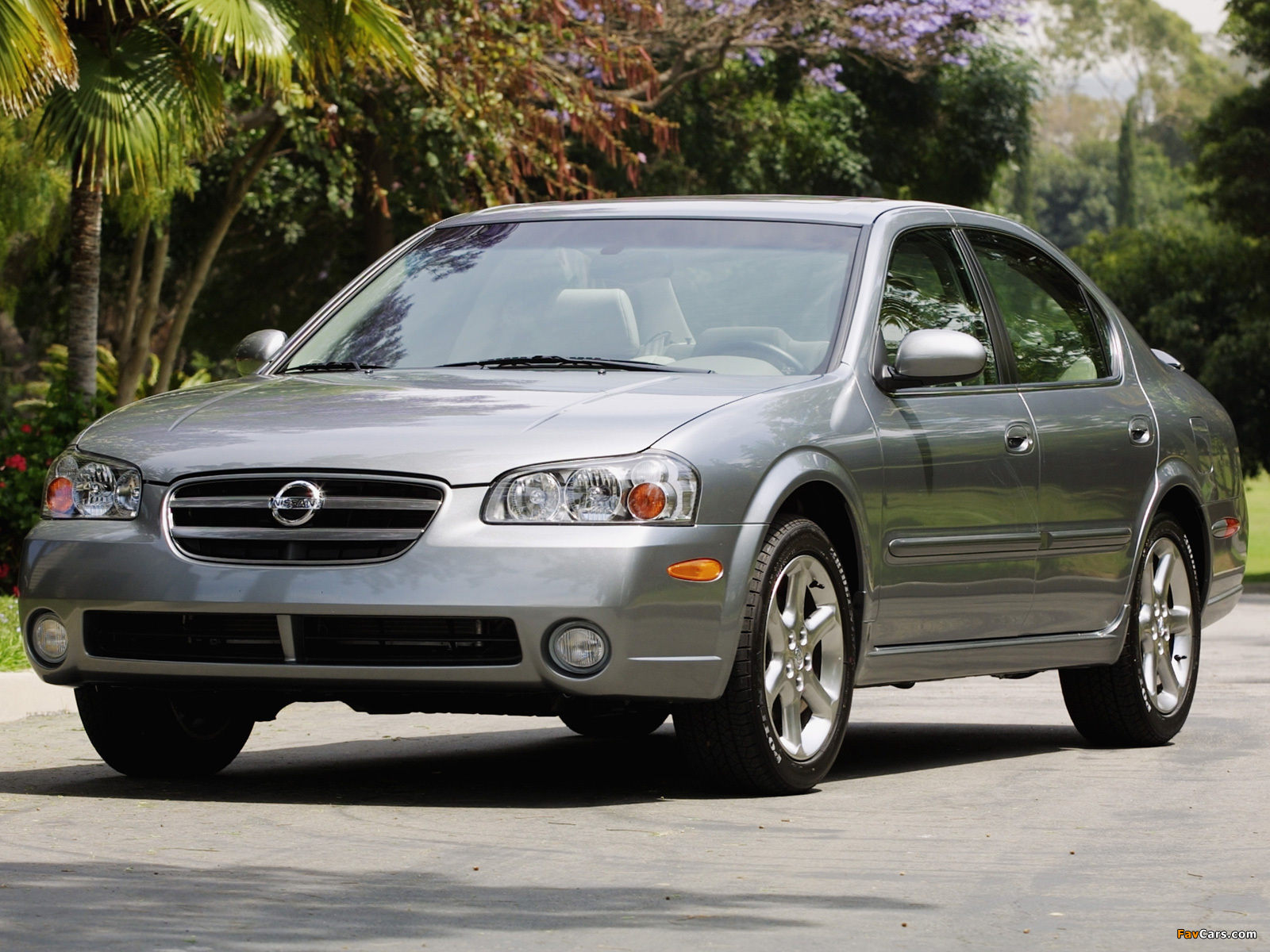 Photos of Nissan Maxima US-spec (A33) 2002–03 (1600 x 1200)