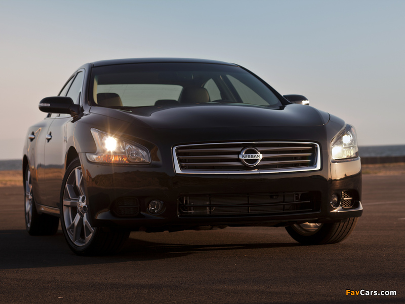 Photos of Nissan Maxima (A36) 2008 (800 x 600)