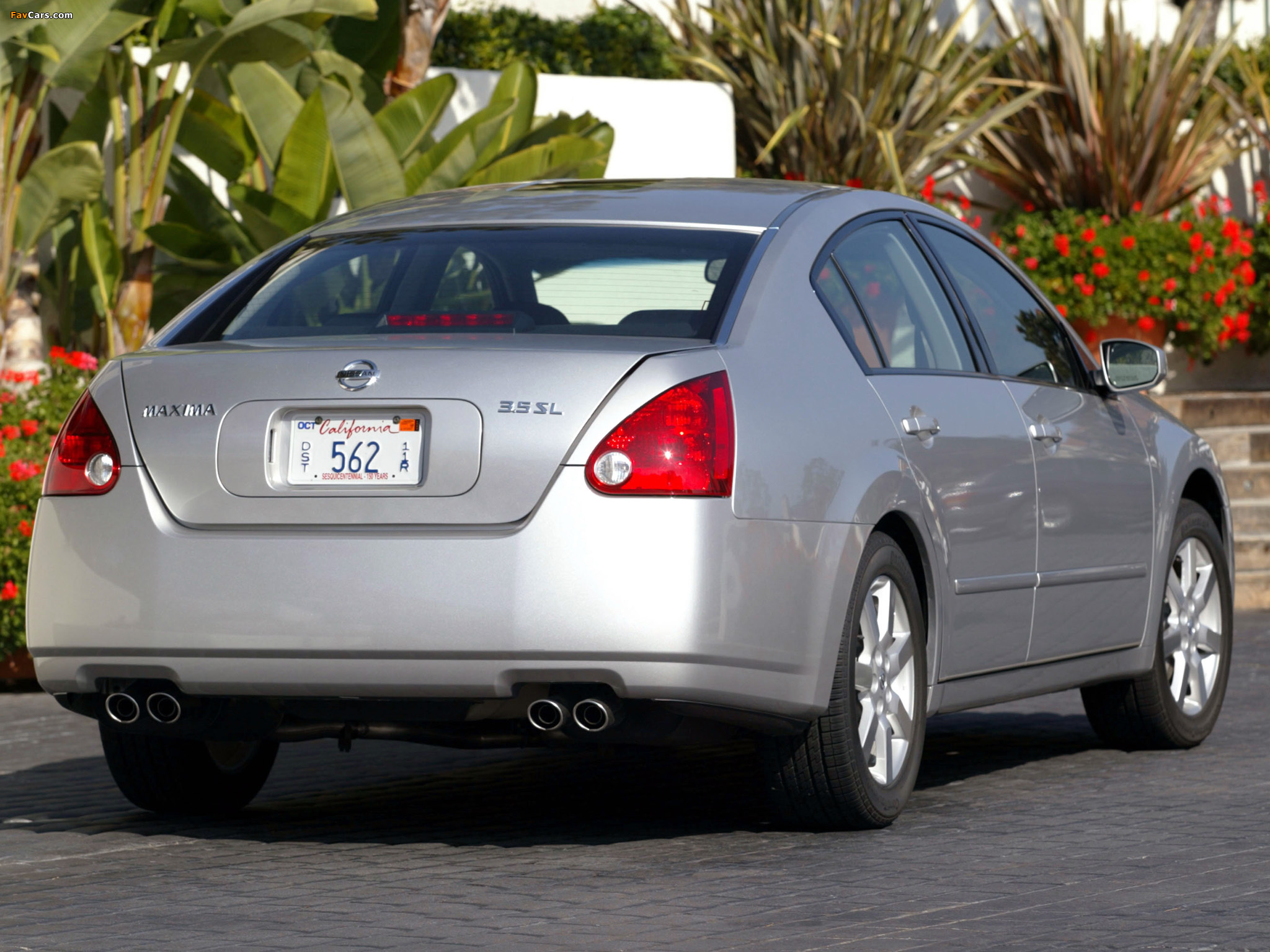 Pictures of Nissan Maxima (A35) 2004–06 (2048 x 1536)
