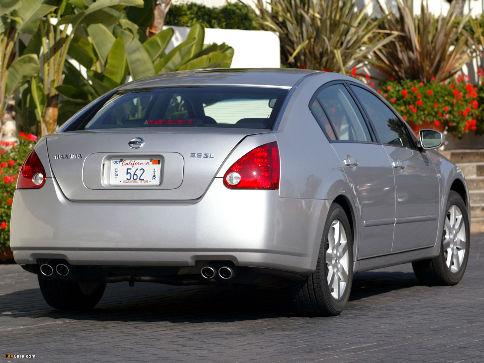 Pictures of Nissan Maxima (A35) 2004–06 (1600 x 1200)