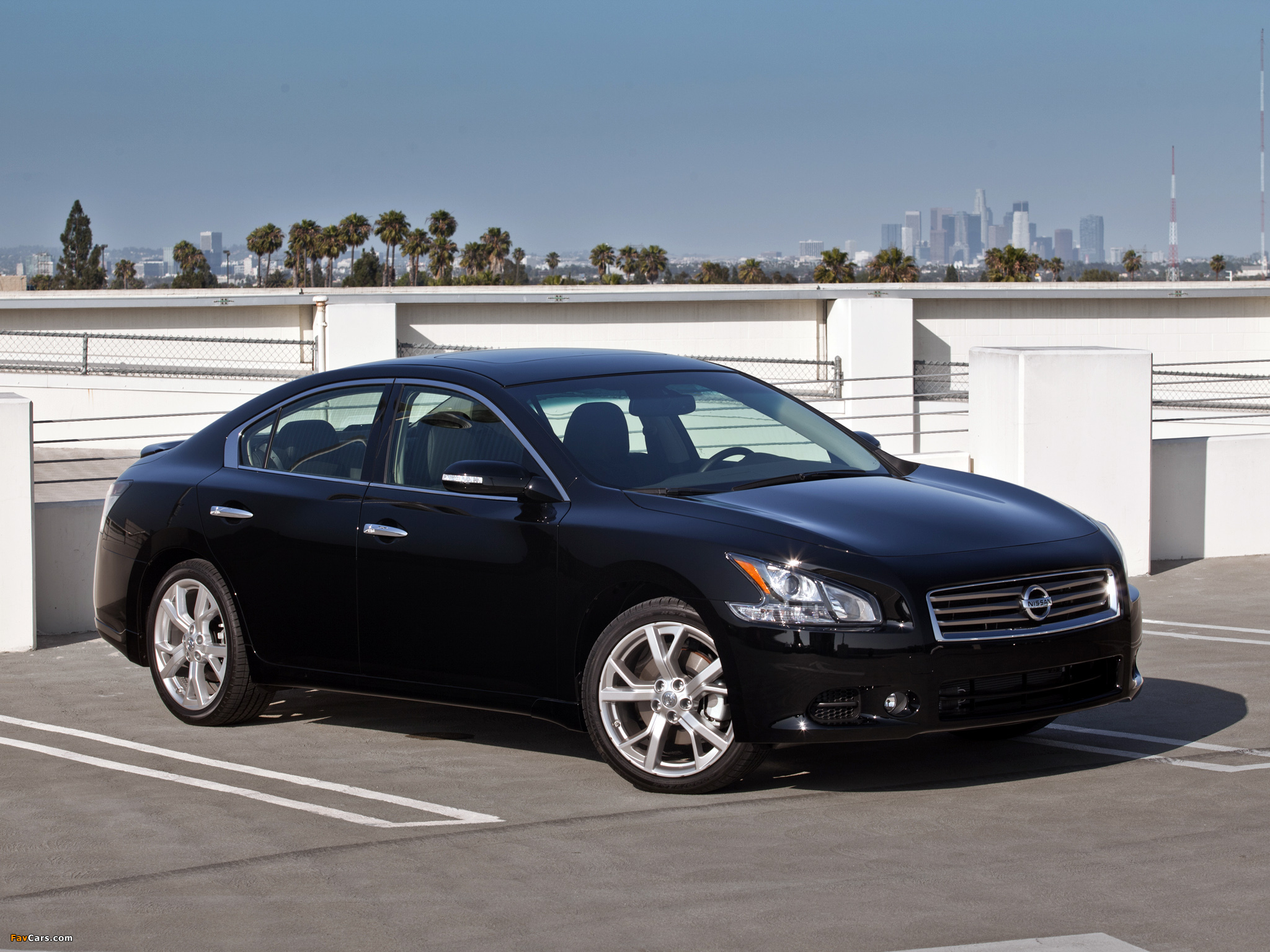 Pictures of Nissan Maxima (A36) 2008 (2048 x 1536)