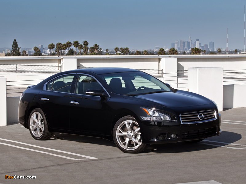 Pictures of Nissan Maxima (A36) 2008 (800 x 600)