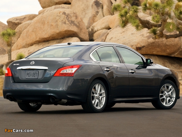 Pictures of Nissan Maxima (A36) 2008 (640 x 480)