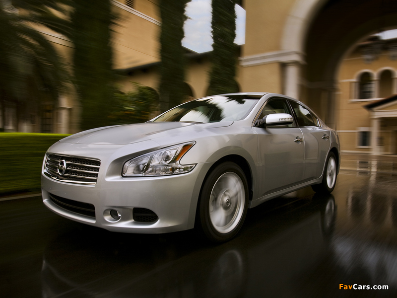 Pictures of Nissan Maxima (A36) 2008 (800 x 600)