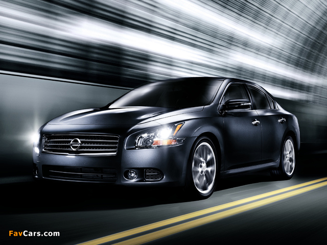 Nissan Maxima (A36) 2008 wallpapers (640 x 480)