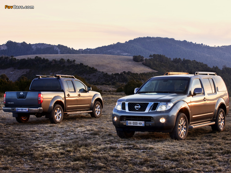 Images of Nissan (800 x 600)
