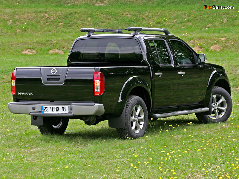 Images of Nissan Navara Double Cab (D40) 2005–10 (800 x 600)
