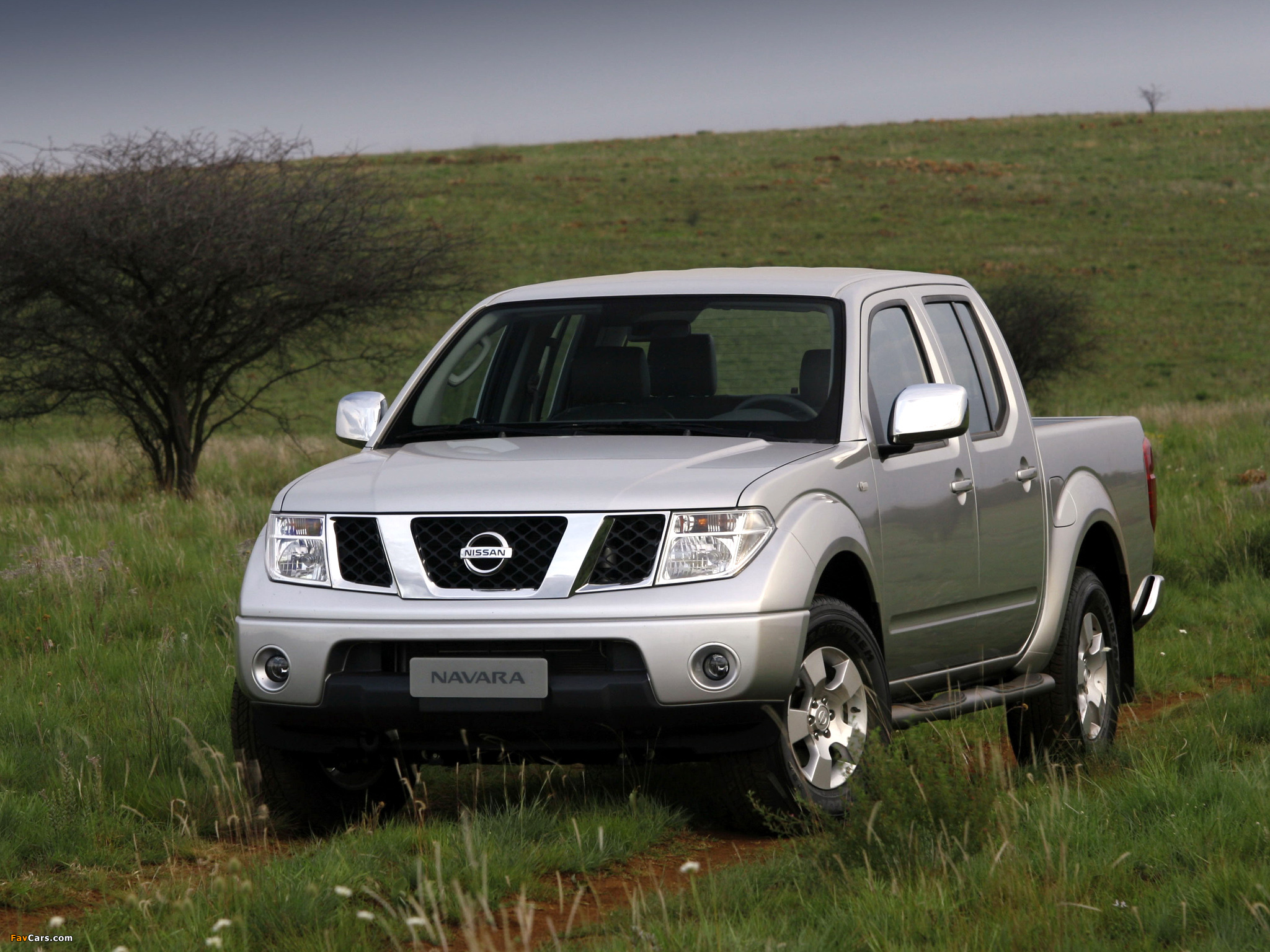 Nissan Navara Double Cab (D40) 2005–10 pictures (2048 x 1536)