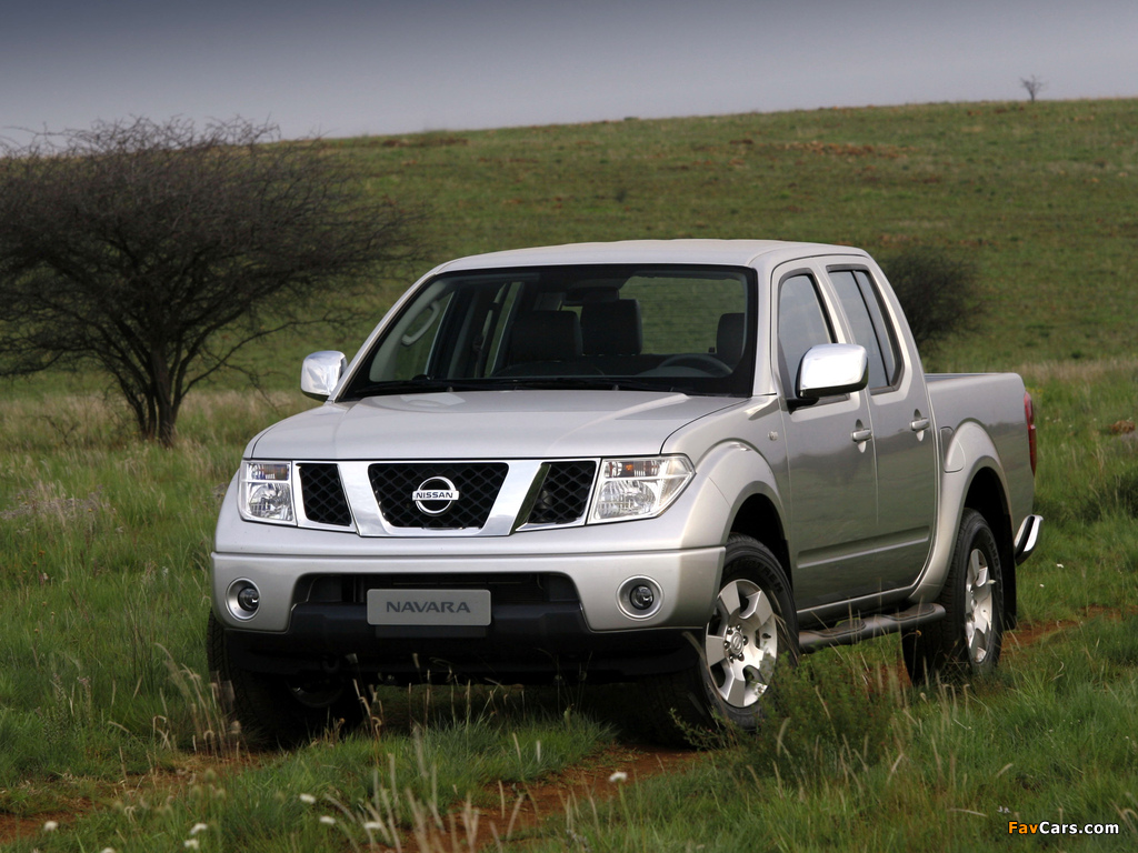 Nissan Navara Double Cab (D40) 2005–10 pictures (1024 x 768)