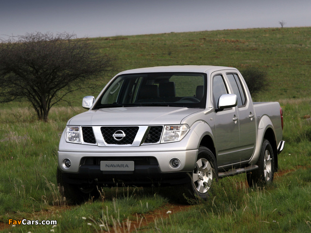 Nissan Navara Double Cab (D40) 2005–10 pictures (640 x 480)