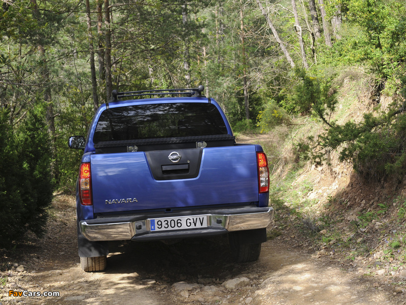 Nissan Navara Double Cab (D40) 2010 pictures (800 x 600)