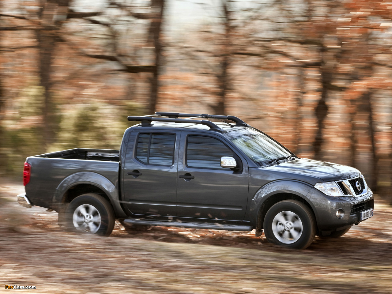 Nissan Navara Double Cab (D40) 2010 pictures (1280 x 960)