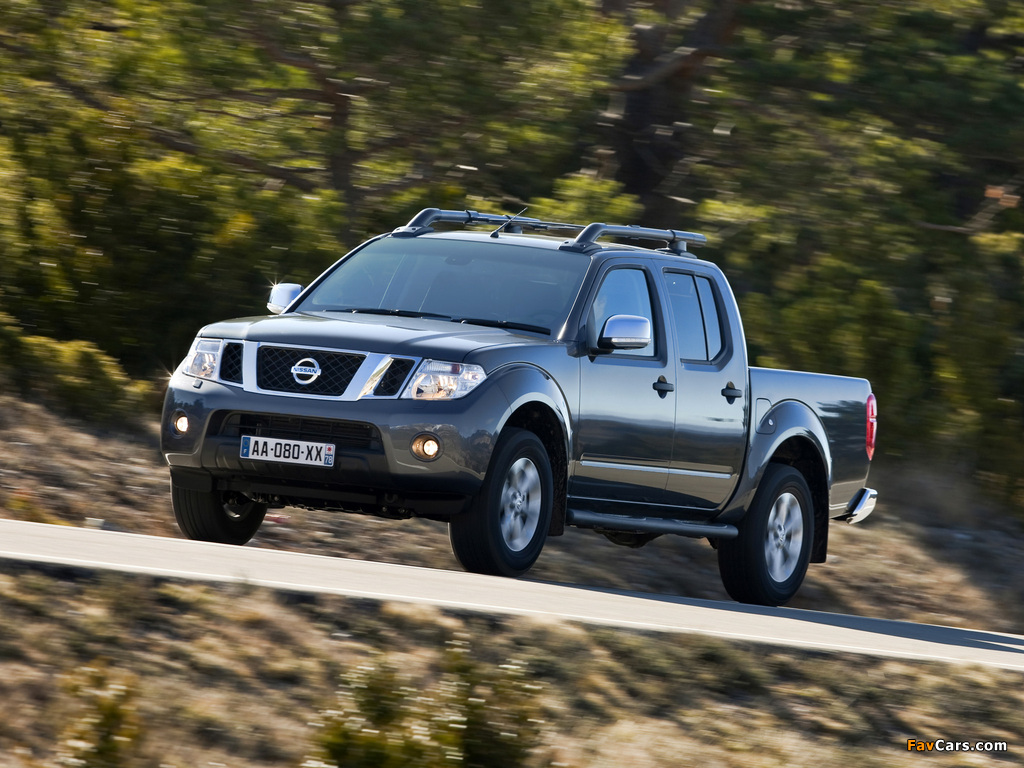 Nissan Navara Double Cab (D40) 2010 pictures (1024 x 768)