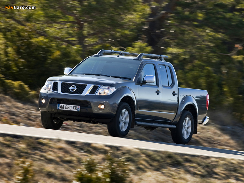 Nissan Navara Double Cab (D40) 2010 pictures (800 x 600)