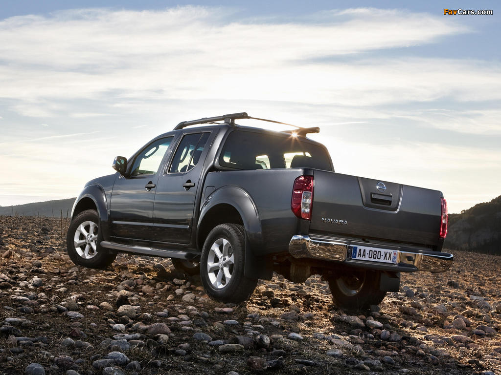 Photos of Nissan Navara Double Cab (D40) 2010 (1024 x 768)