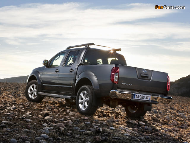 Photos of Nissan Navara Double Cab (D40) 2010 (640 x 480)