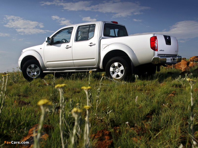 Pictures of Nissan Navara Double Cab (D40) 2005–10 (800 x 600)