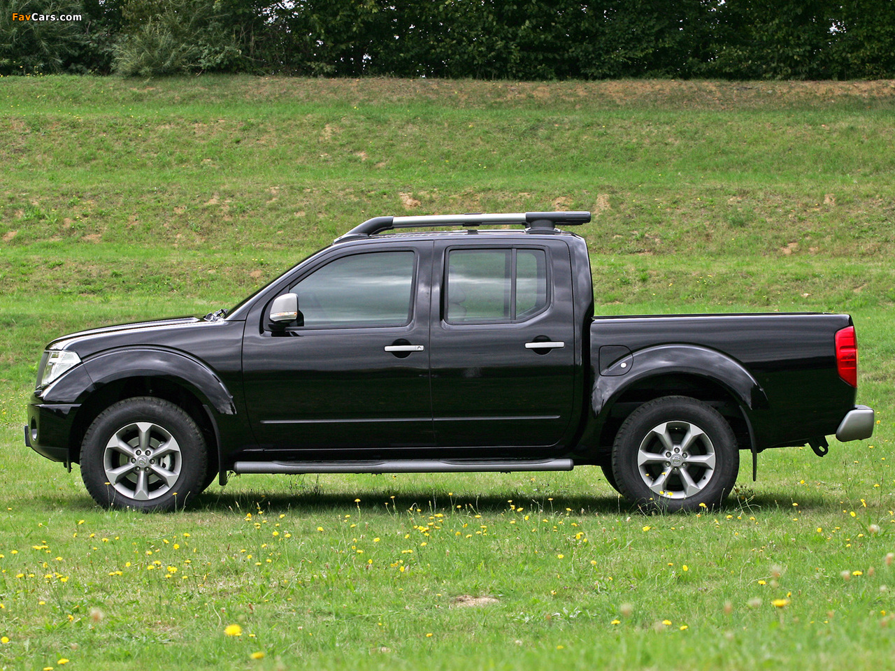 Pictures of Nissan Navara Double Cab (D40) 2005–10 (1280 x 960)