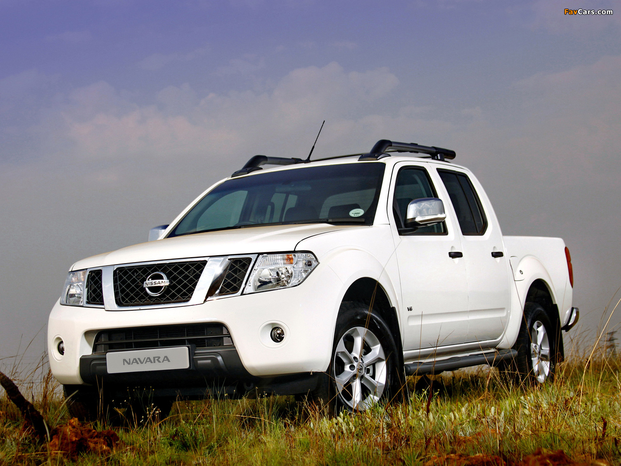 Pictures of Nissan Navara Double Cab ZA-spec (D40) 2010 (1280 x 960)