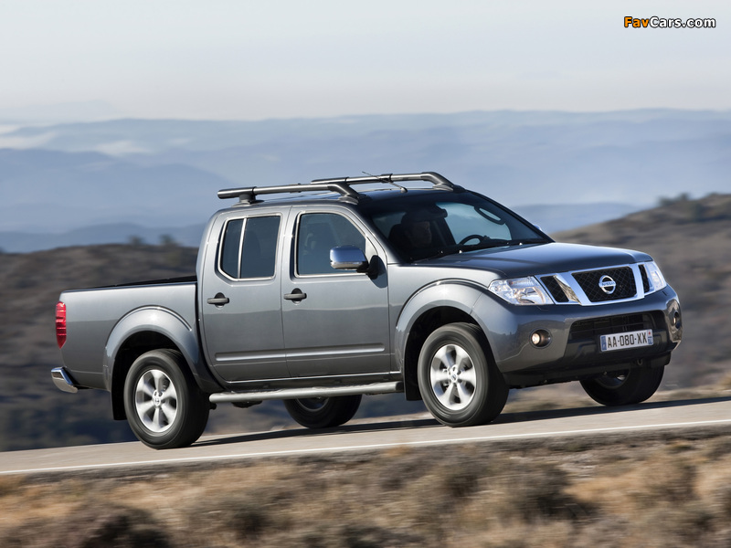 Pictures of Nissan Navara Double Cab (D40) 2010 (800 x 600)