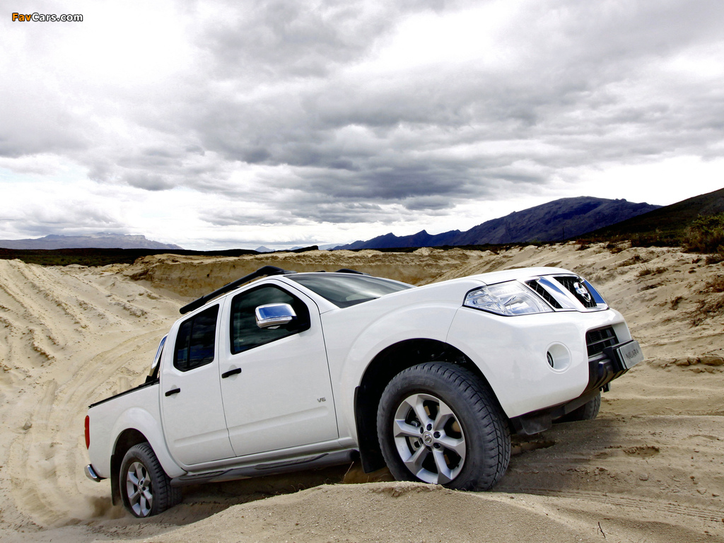 Nissan Navara Double Cab ZA-spec (D40) 2010 wallpapers (1024 x 768)