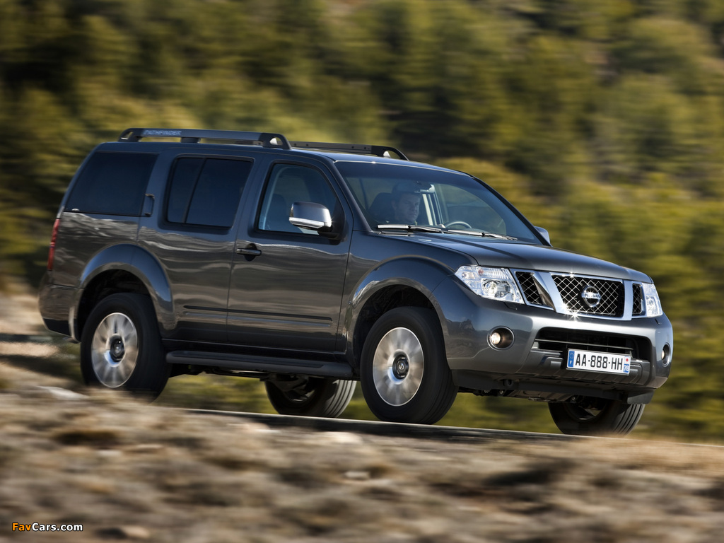 Images of Nissan Pathfinder (R51) 2010 (1024 x 768)