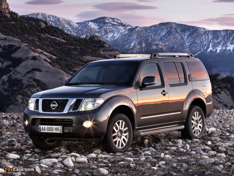 Nissan Pathfinder (R51) 2010 pictures (800 x 600)