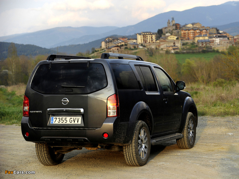 Pictures of Nissan Pathfinder (R51) 2010 (800 x 600)
