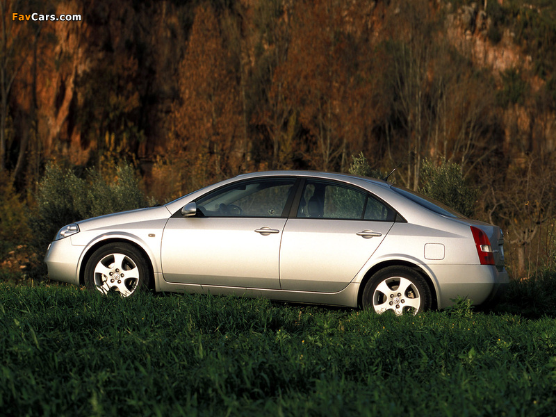 Nissan Primera Sedan (P12) 2002–08 photos (800 x 600)