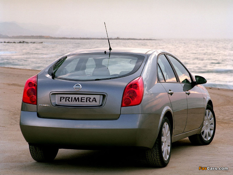 Nissan Primera Hatchback (P12) 2002–08 wallpapers (800 x 600)