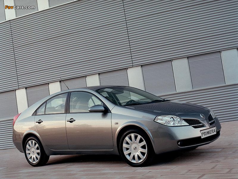 Pictures of Nissan Primera Hatchback (P12) 2002–08 (800 x 600)