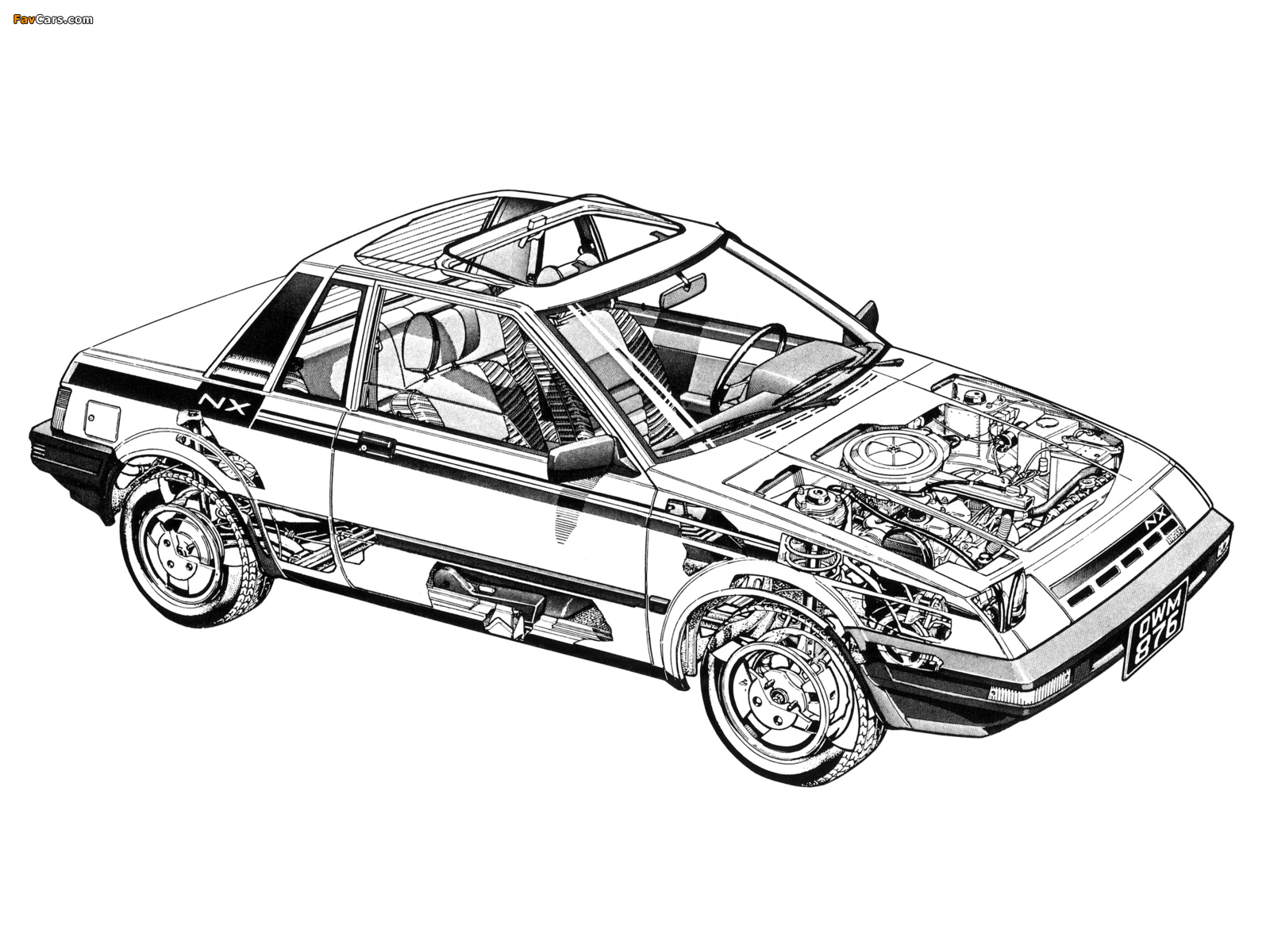 Images of Nissan Pulsar NX (N12) 1983–86 (1600 x 1200)