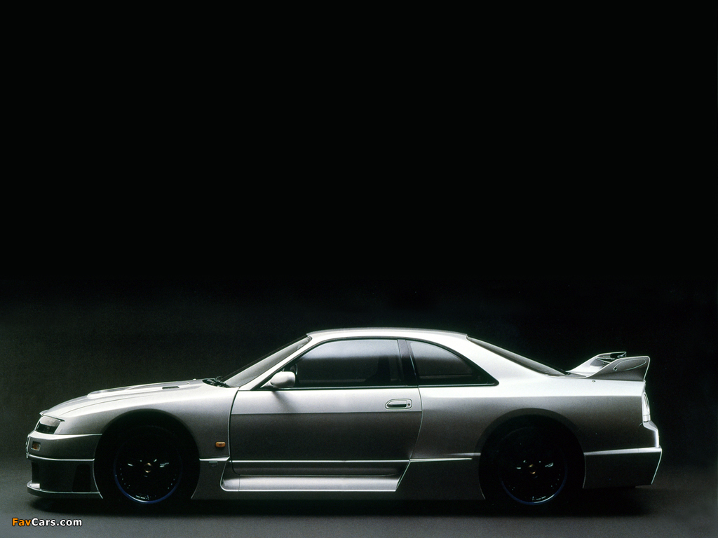 Images of Nismo Nissan Skyline GT-R LM (BCNR33) 1995–96 (1024 x 768)