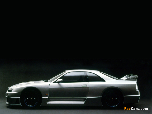 Images of Nismo Nissan Skyline GT-R LM (BCNR33) 1995–96 (640 x 480)
