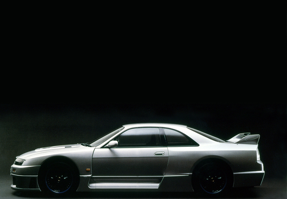 Images of Nismo Nissan Skyline GT-R LM (BCNR33) 1995–96