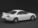 Nissan Skyline GT-R V-spec N1 (BCNR33) 1995–98 photos