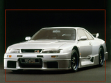 Nismo Nissan Skyline GT-R LM (BCNR33) 1995–96 wallpapers