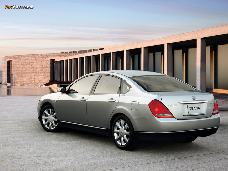 Photos of Nissan Teana 2003–05 (800 x 600)