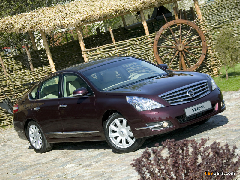 Pictures of Nissan Teana 2008–11 (800 x 600)