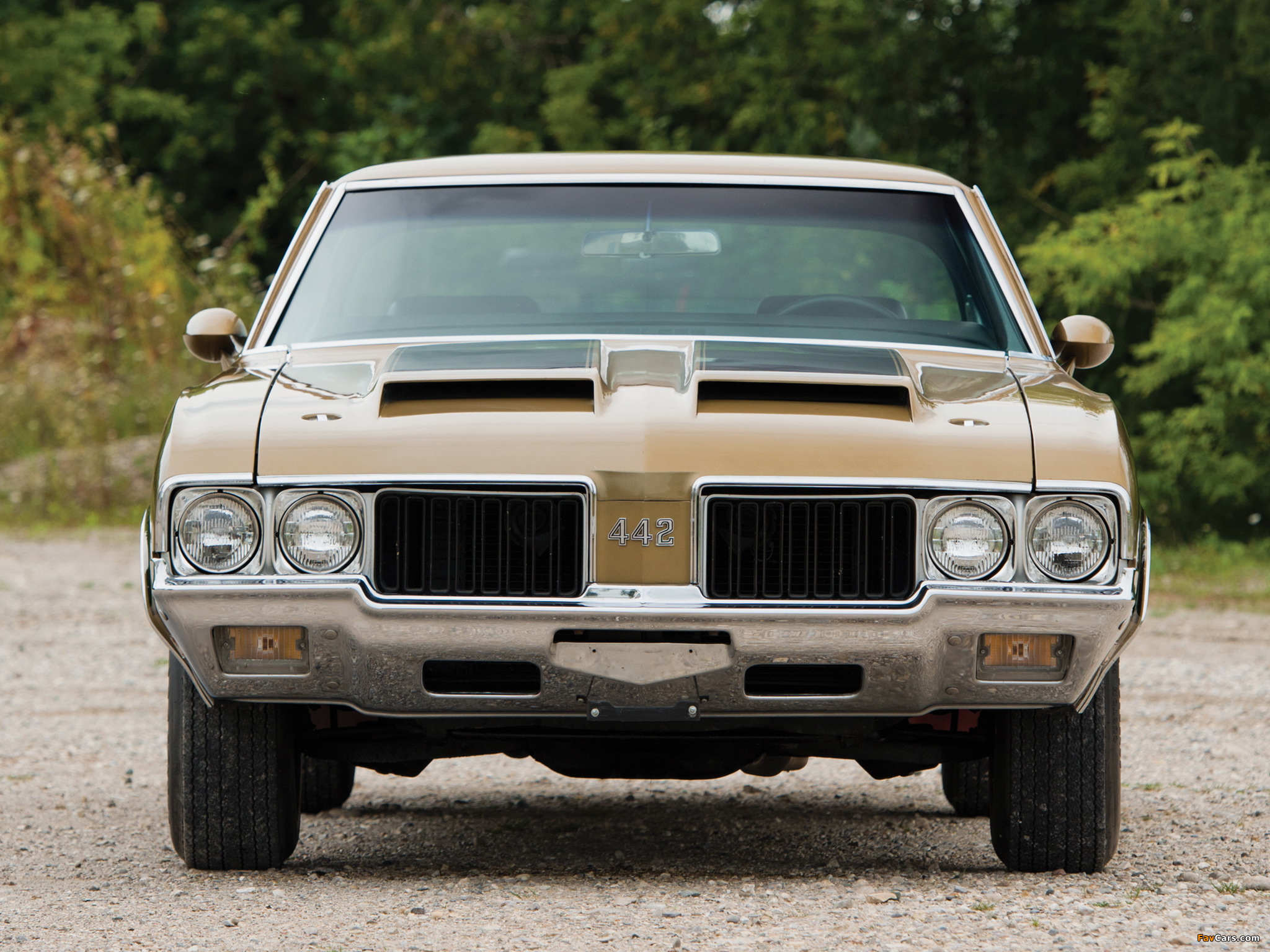 Photos of Oldsmobile 442 W-30 Holiday Coupe (4487) 1970 (2048 x 1536)