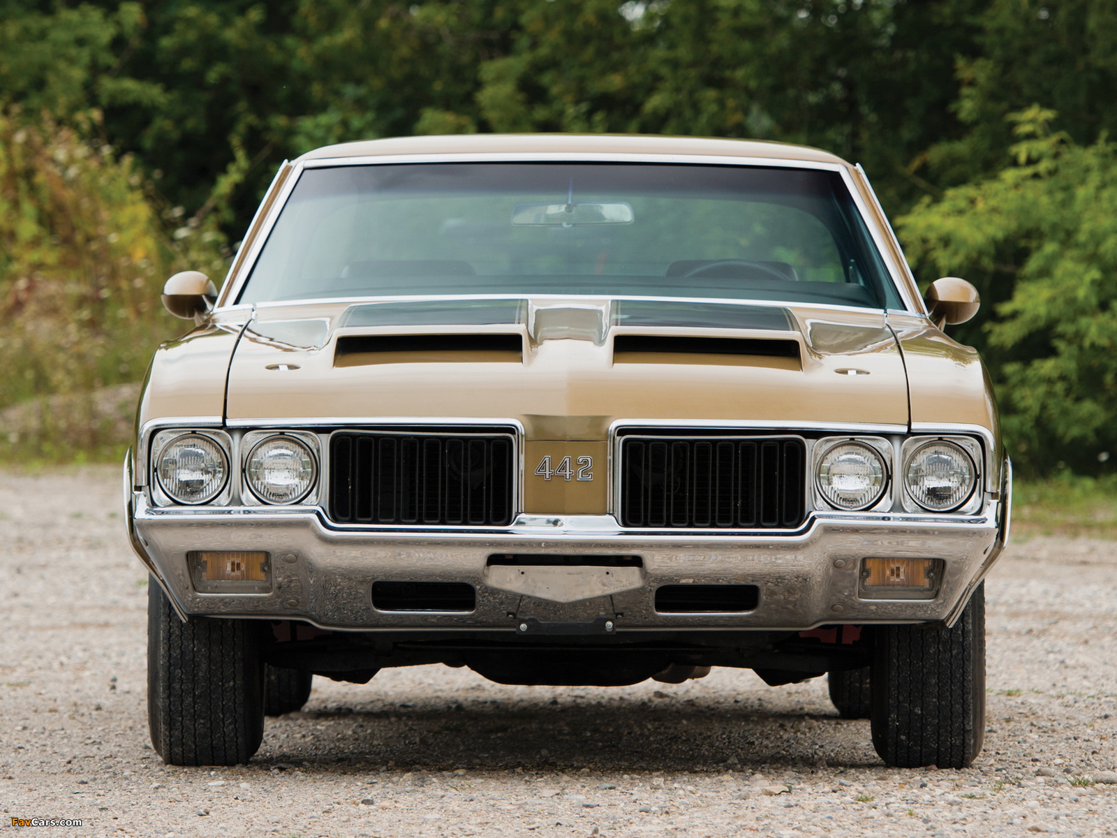 Photos of Oldsmobile 442 W-30 Holiday Coupe (4487) 1970 (1600 x 1200)