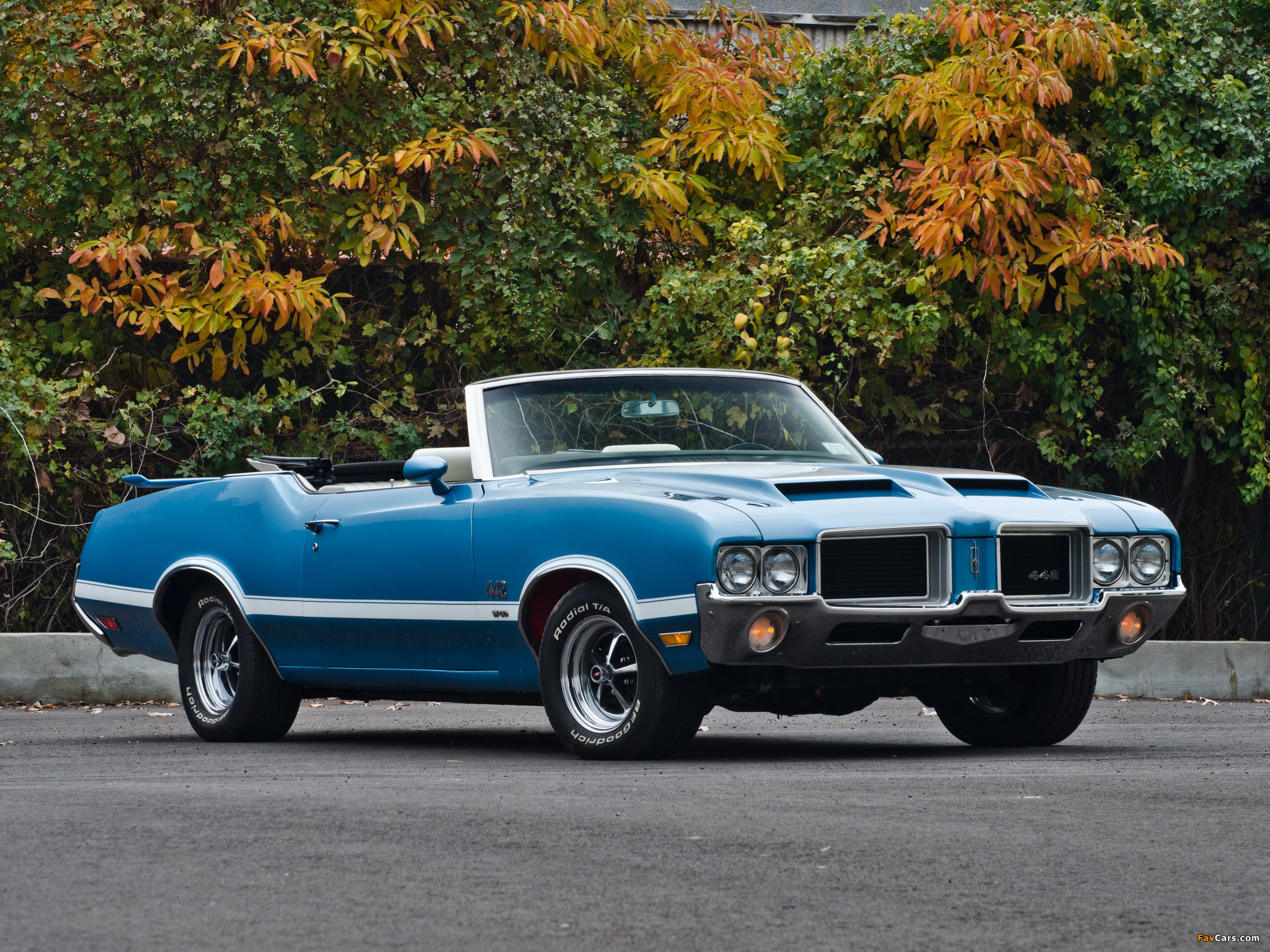 Pictures of Oldsmobile 442 W-30 Convertible (4467) 1971 (2048 x 1536)