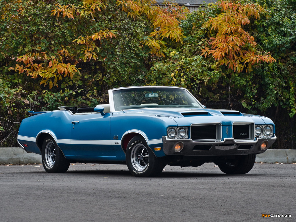 Pictures of Oldsmobile 442 W-30 Convertible (4467) 1971 (1024 x 768)