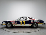 Pictures of Oldsmobile 442 NASCAR Race Car 1980